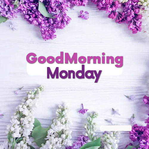 Good Morning Monday Images - purple color flower white color flower pic