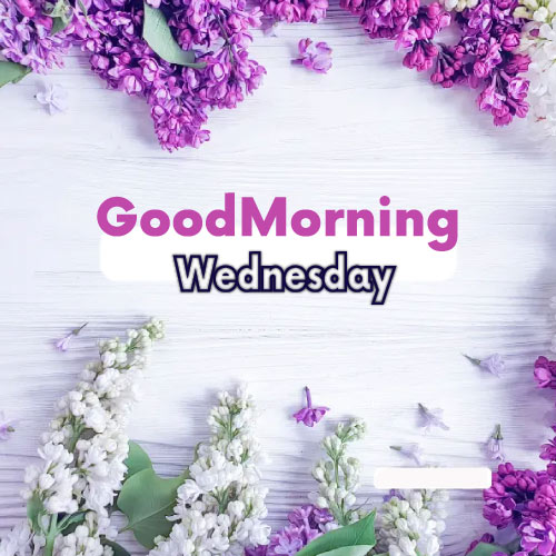 Good Morning Wednesday Images - purple white flower