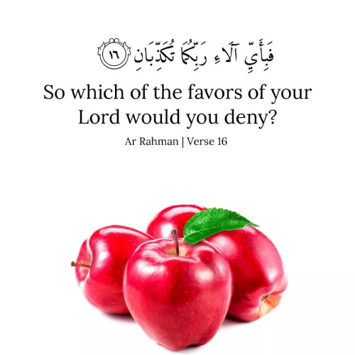 Qurani Ayat Dp - apple pic