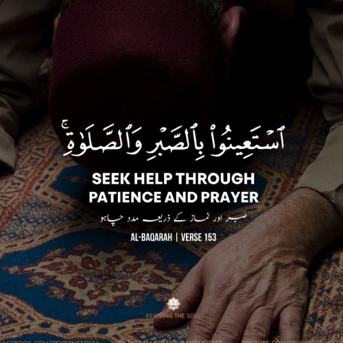 Qurani Ayat Dp - man prayer pic