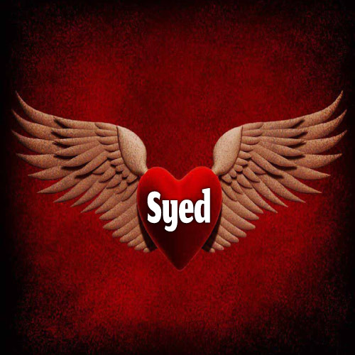 Syed Dp - red heart flying photo