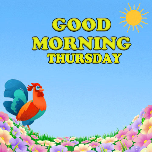 Good Morning Thursday Images - rooster