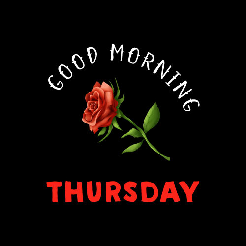 Good Morning Thursday Images - rose image