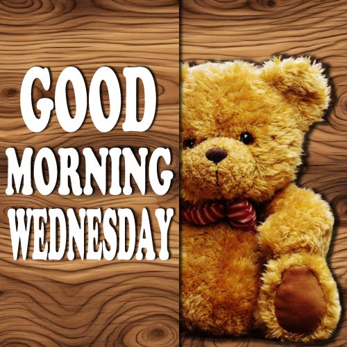 Good Morning Wednesday Images - teddy bear