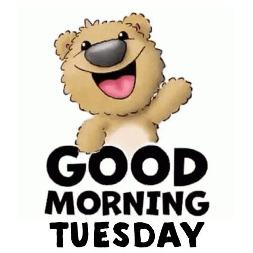 Good Morning Tuesday Images - nice teddy bear photo