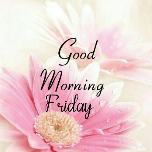 Good Morning Friday Images - white pink flower