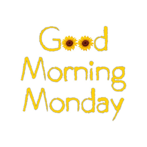 Good Morning Monday Images - yellow color text sunflower photo