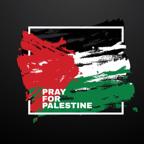 Palestine Dp - box outline flag pic