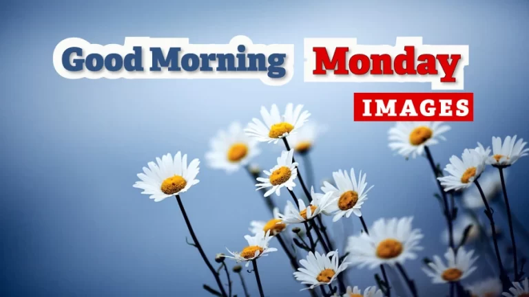 Amazing Good Morning Monday Images