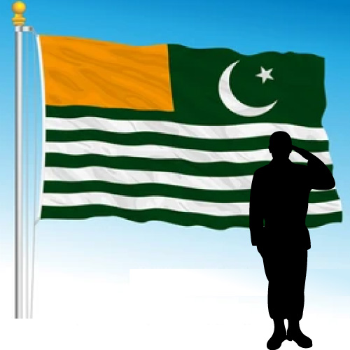 Kashmir Flag DP - flag salute pic