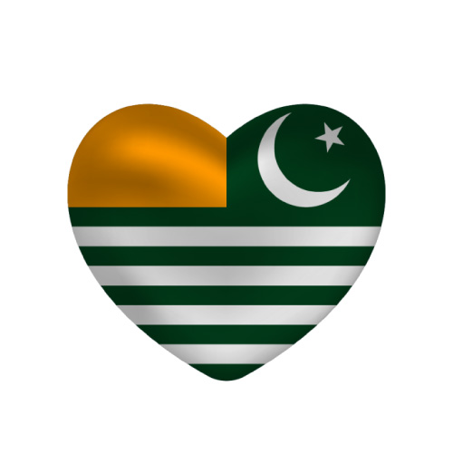 Kashmir Flag DP - good look kashmir flag