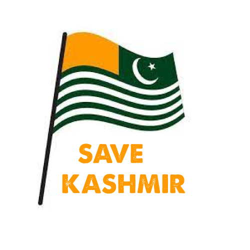 Kashmir Flag DP - photo flag