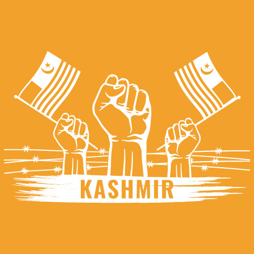 Kashmir Flag DP - white flag vector