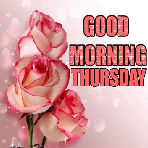 Good Morning Thursday Images - rose