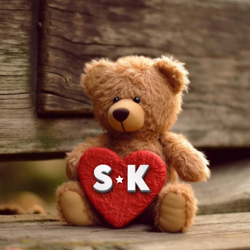 SK Love Dp - bear with heart