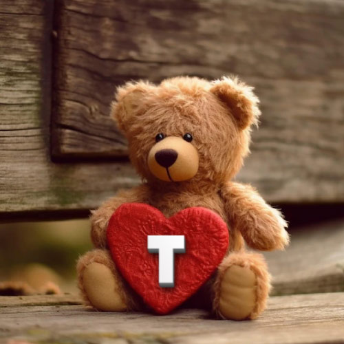 T Name Photo - bear with heart
