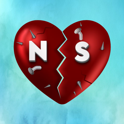 N S Pic - broken 3d heart