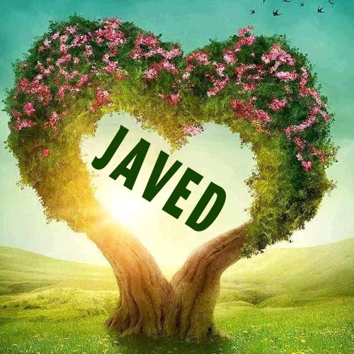 Javed Name Picture - heart shape tree