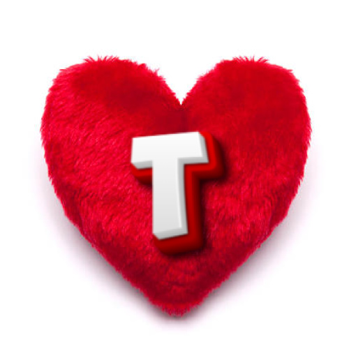 T Name Photo - pillow heart