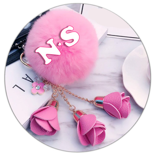 N S Dp - pink keychain