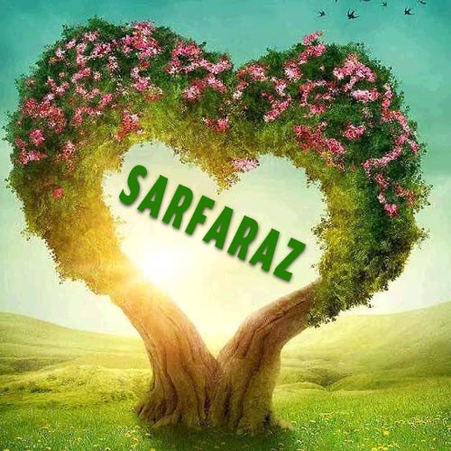 Sarfaraz Name Photo - heart shape tree