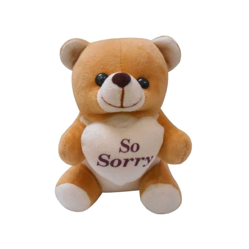 Sorry Pic for Lover - bear with heart text so sorry