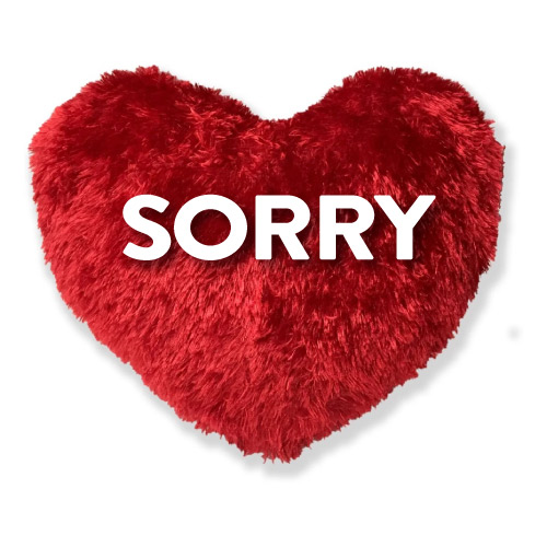 Sorry Images for Lover - pillow heart