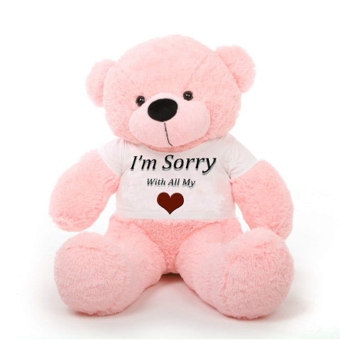 Sorry Photo for Lover - pink bear with i am sorry text