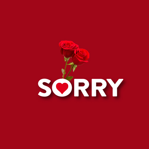Sorry Photo for Lover - rose with sorry text
