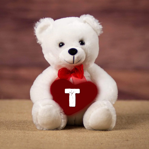 T Name Pic - white bear with heart