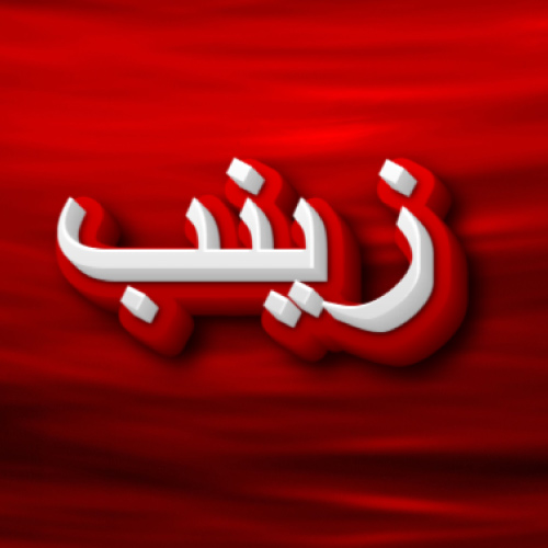 Zainab Urdu Naam Dp - red white 3d text