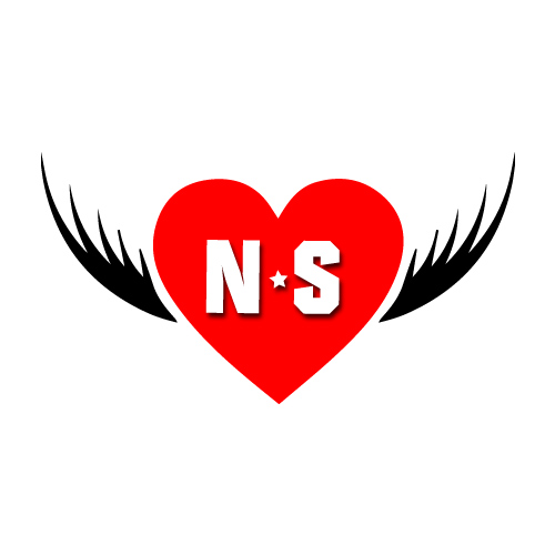 N S Photo - flying heart