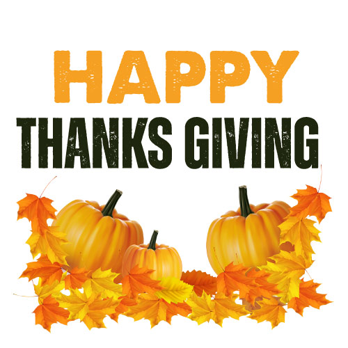 Happy Thanksgiving Hd Wallpaper - yellow dark green text