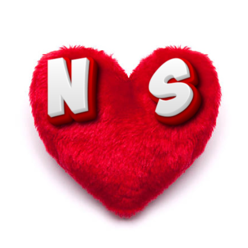 N S Picture - pillow heart