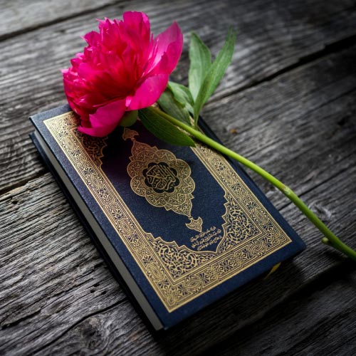 Quran Dp - quran with pink flower