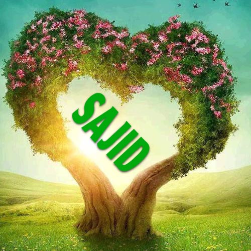 Sajid Name Photo - heart shape tree