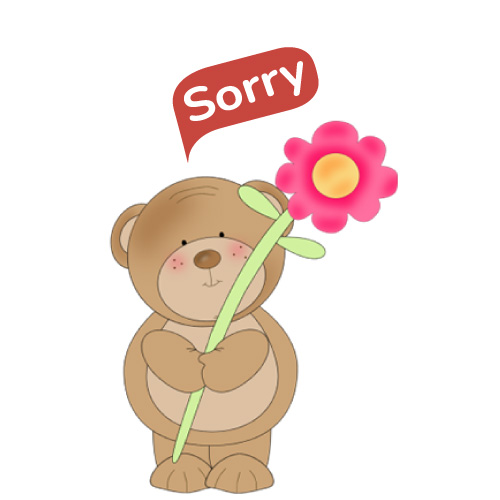 Sorry photo for Lover - bear with flower