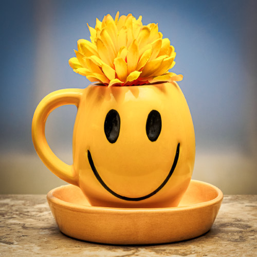 Smile flower dp for whatsapp- mug with sunflower