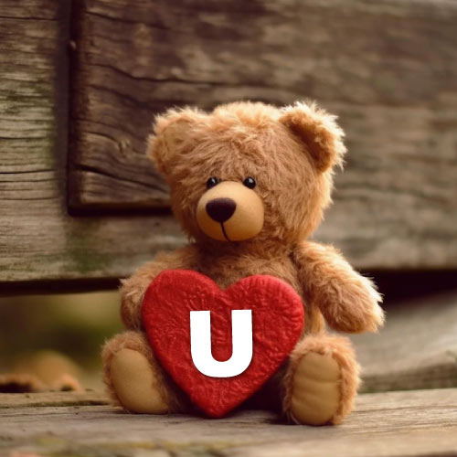 U Name Dp - bear with heart