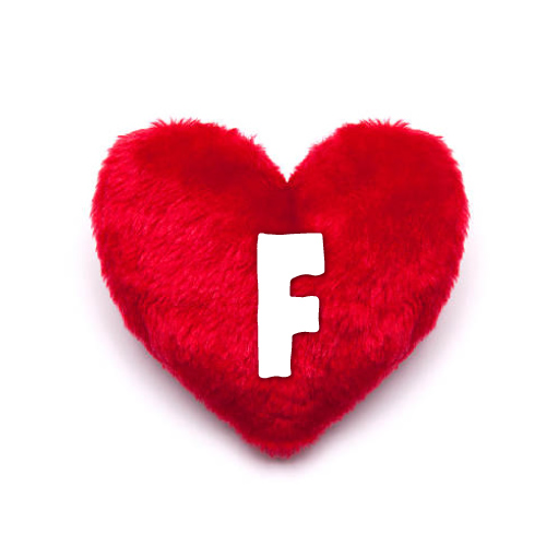 F Name Photo - heart pillow