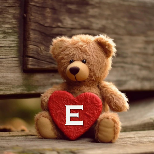 E Name Dp - bear with heart