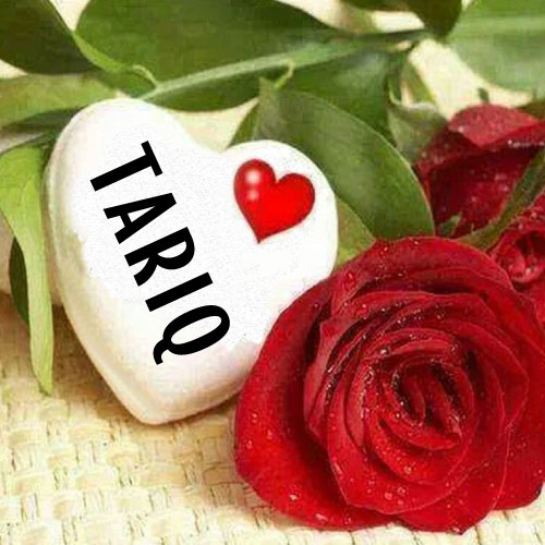 white heart with red rose Tariq Name Pic - white heart with rose